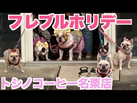 トシノコーヒー フレブルホリデー 【French_bulldog フレンチブルドッグ 】 トシノコーヒー名栗店