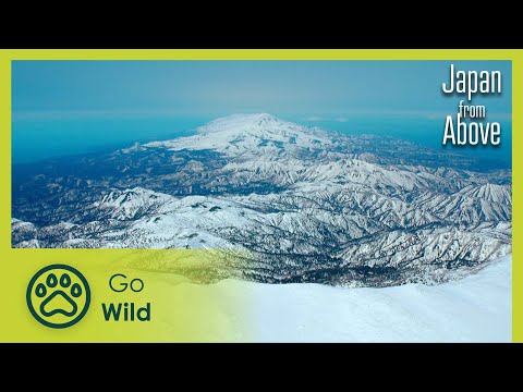 The Great Wild North | Japan From Above 1/5 | Go Wild