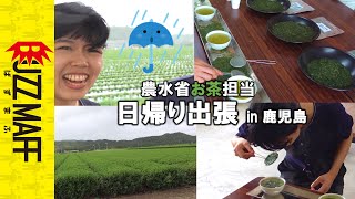 農水省お茶担当の日帰り出張　in鹿児島