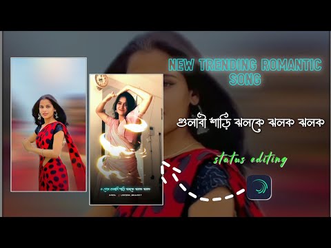 Tor gulabi saree jhalake jhalak jhalak alight motion video editing | new style video editing