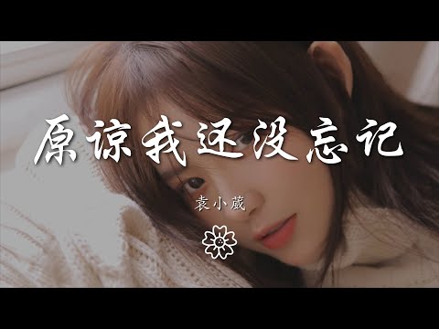 袁小葳 - 原諒我還沒忘記『原諒我還沒有忘記你的名字』【動態歌詞Lyrics】