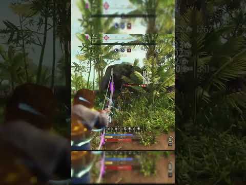 NEW WORLD BOW ANIMATION CANCELS