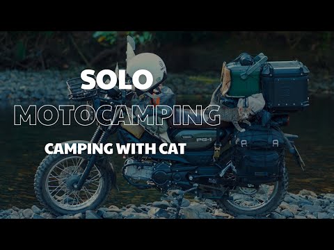 Solo MotoCamping / SoloRide / Camping in Forest / ASMR