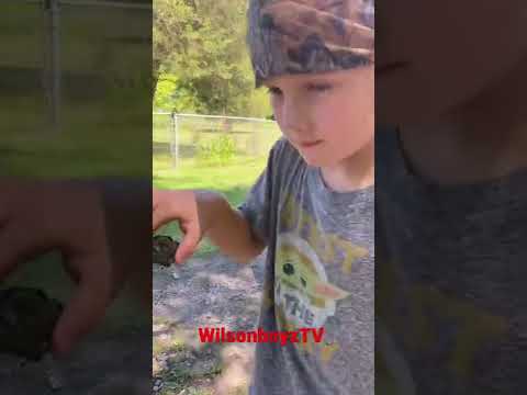 His first baby snapping turtle! Turtleman! Live Action! Summer heat 🥵