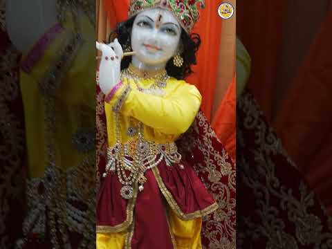 Popular Krishna Bhajan l Kirtan l Bliss l Radha Krishna Temple l Jagadguru Kripalu Maharaj #shorts