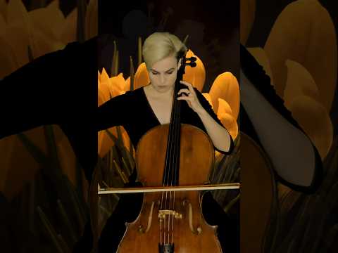 Bach Cello Suite + Green Screen!