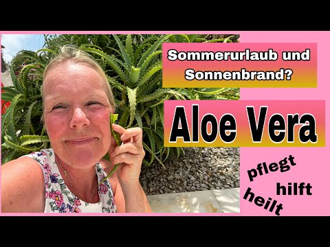 Die Wunderpflanze, Aloe Vera auch im Urlaub erste Wahl| Pflegt, lindert und heilt