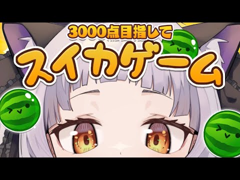 【スイカゲーム】優しくしてください。3000点目指して…【ホロライブ/紫咲シオン】