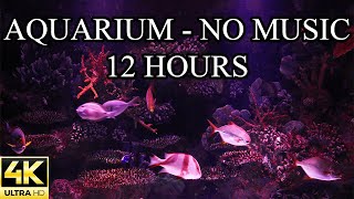 AQUARIUM 4K Coral Reef NO MUSIC and NO ADS 4K Reef Tank - 12 Hours | Aquarium Sounds For Sleeping