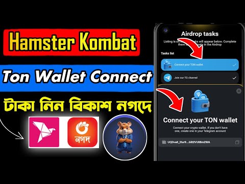 Hamster kombat ton wallet connect | hamster kombat wallet connect | hamstar kombat new update