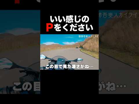 いい感じの、最高のPをください。