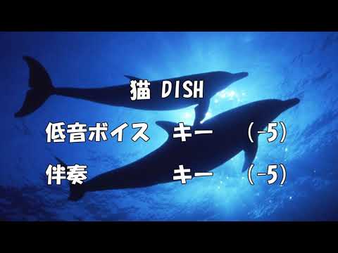 【低音ボイス】猫　DISH　歌ってみた ver.イルカ師