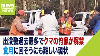 クマ猟が兵庫で解禁「食用の道も…」と思いきや『食肉に適した熊』はエサ不足で減少か（2023年11月15日）