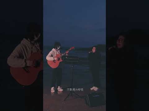 亲亲 cover