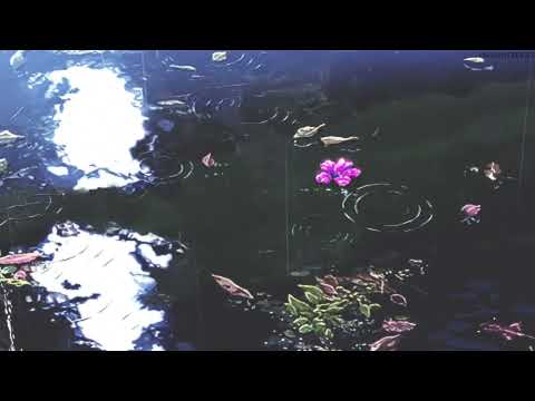 [FREE] Nujabes x J Dilla Type Beat - “Lilac”