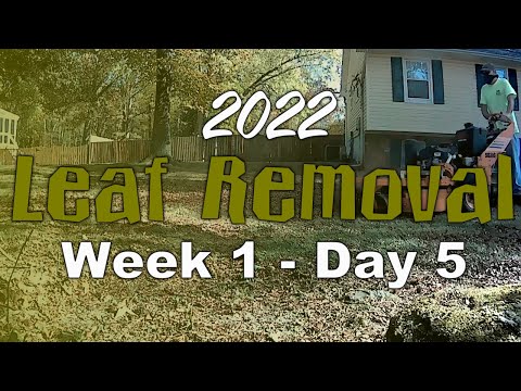 2022 Leaf Removal (Week 1 - Day 5)