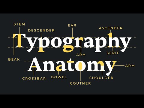 Typography Anatomy