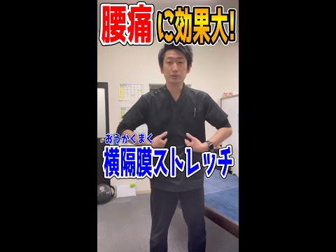 【効果あり!!】腰痛に効く横隔膜ストレッチ！！#shorts