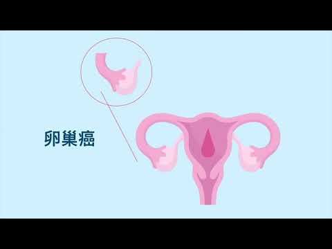 【國際婦女節】愛惜身體多一點︱立即預約婦女身體檢查 為未來做到準備