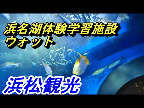 【ひとり水族館】浜名湖体験学習施設 ウォット【静岡県浜松市】