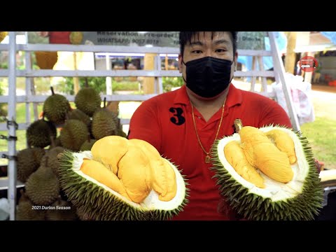 Durian Season in Singapore - only the Best from Malaysia