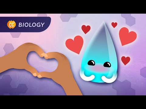 The Unexpected Truth About Water: Crash Course Biology #21