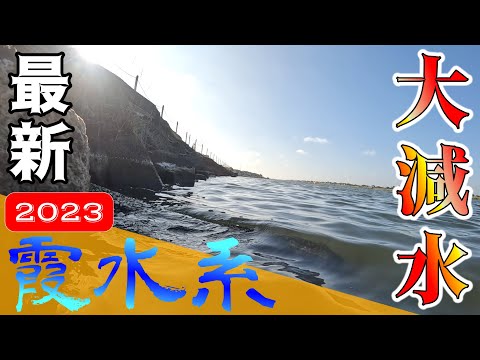 【バス釣り】【霞ヶ浦】8月盆前の厳しい状況でも〇〇