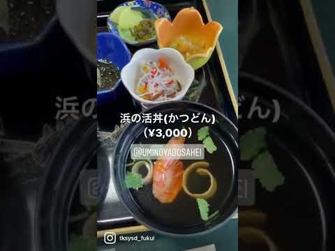 【福井グルメ】うみの宿さへいさん（南条郡南越前町）で、浜の活丼食べてきました【食レポ動画】#shorts