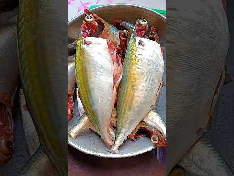 Fresh a mathi meen, ayla meen, vaangiyaachu, #shorts, shorts, #trending #food #ஷார்ட்ஸ்