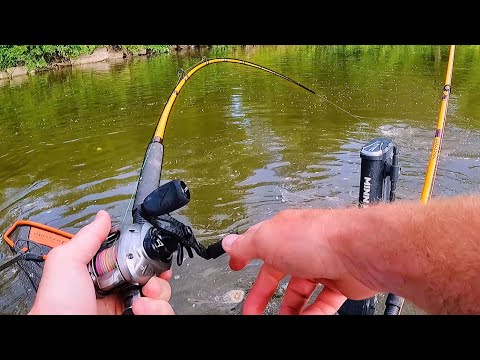 THIS IS WHY You Should Fish During HIGH WATER!! (Tons of Action)