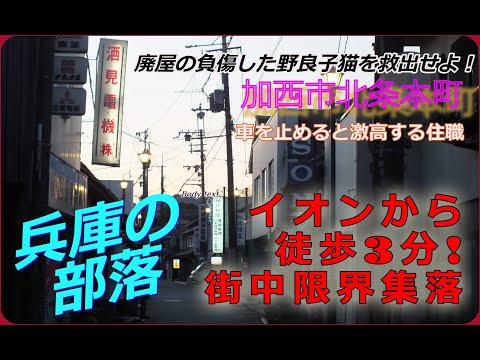 《兵庫の部落》イオンから徒歩3分に広がる街中限界集落！禁断の路地裏（総集編）車を止めると激高する住職＋廃屋の負傷した野良子猫を救出せよ！《兵庫県加西市北条本町》#廃墟#路地裏#昭和#暴力団#酒見寺