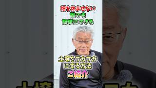 家庭菜園や農園の野菜栽培で冬に土をフカフカに！簡単にできる土壌改善の秘訣と野菜の育て方！【農家直伝】#shorts