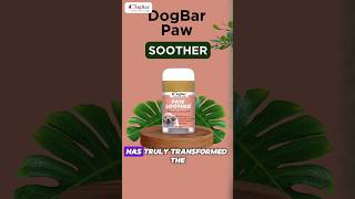 DogBar Paw Soother Balm Stick | Ultimate Paw Protection for Your Pup | Mess-Free & Lick-Safe!