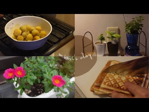 50代主婦｜パート休み日のまったり朝ごはん｜植物の手入れ｜梅ジャム作り｜vlog