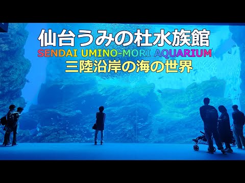 東北で一番大きな水族館【仙台うみの杜水族館】