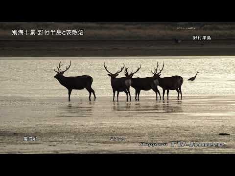 別海十景 野付半島と茨散沼 Ten views of Betsukai: Notsuke Peninsula and Barasantou Swamp