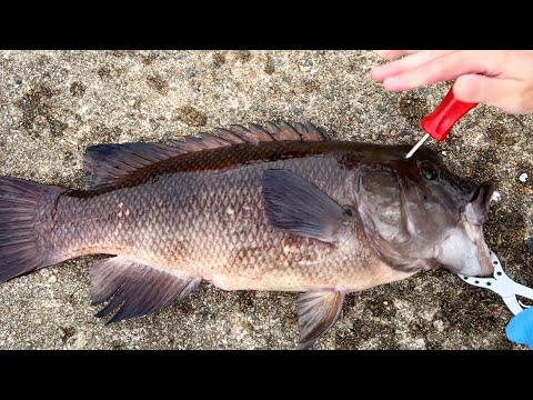 【鬼絞め②】魚屋が酢豚の作り方を1からお見せします。