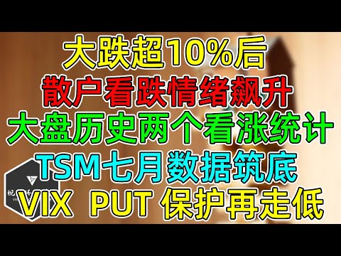 美股 大跌超10%后，标普、纳指两个看涨统计！TSM七月销售数据筑底！散户看跌情绪大幅攀升！Vix、Put保护继续走低！