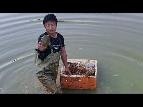 The silt in the fish pond is too deep. The fish in it are not going to be sent free of charge.