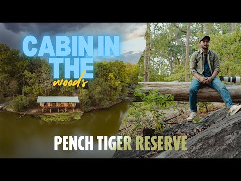 Dream Place for Wildlife Photographers | Rukhad Jungle Camp | Pench Tiger Reserve