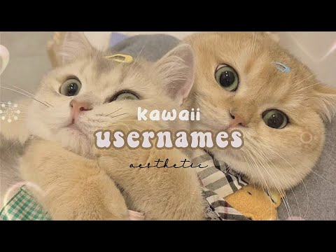 Kawaii Cute Usernames for 2022 (with meaning) | free aesthetic usernames 🧋🍰