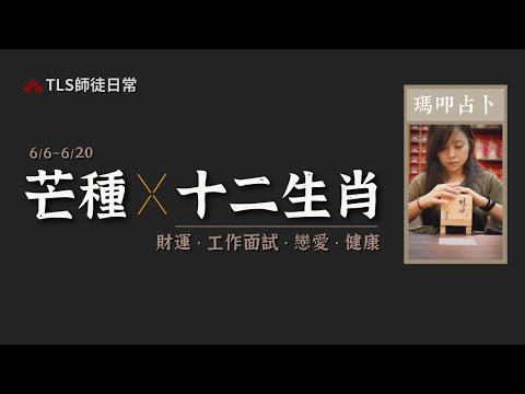 6/6~6/20  十二生肖的運勢占卜｜瑪叩靈術｜工作運、戀愛運、投資理財、健康養生｜