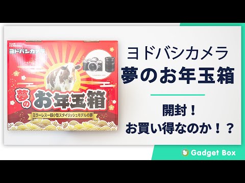 ヨドバシカメラの夢のお年玉箱2021ミラーレス一眼スタイリッシュモデルの夢を開封！　果たしてお買い得なのか！？