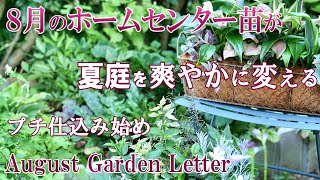 ８月のホームセンターで買った涼やかな花たち｜仕込み始め｜カロリーオフの冷やし中華｜ガーデニング ｜Garden Letter