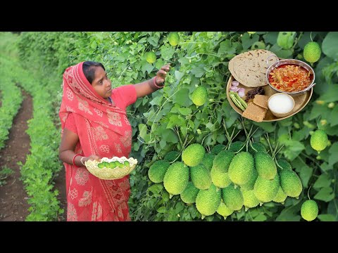 Kantola Ki Sabji | Village Lunch Cooking | Village Life In Gujarat, India