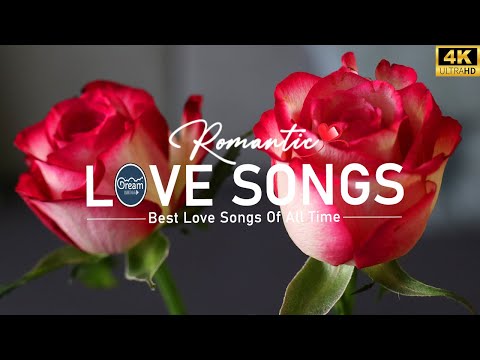 Romantic Love Songs 2024 - Most Old Beautiful Love Songs Of The 70s 80s 90s Ever Shyane Ward.MLTR