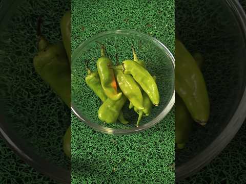 Rajkot famous chutney recipe #viralvideo #chutneyrecipes #viralsong #shortvideo