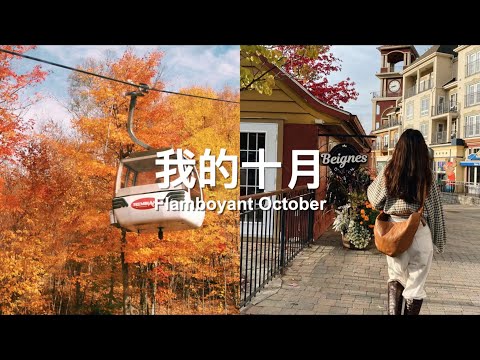 我的十月｜Flamboyant October｜Mont Tremblant赏枫/美食推荐