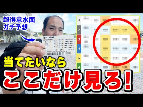 この賭け方で誰でも当たるようになります。