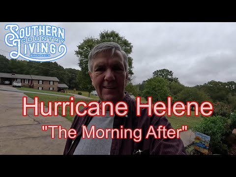 Hurricane Helene  "The Morning After"